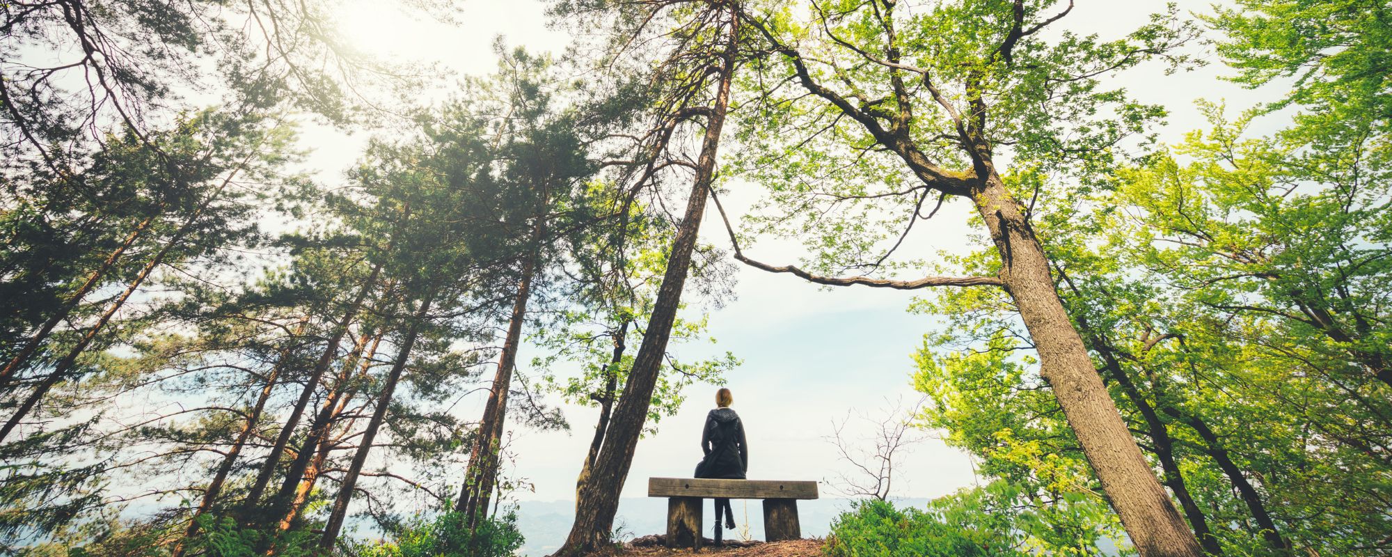 Mindfulness-Based Relapse Prevention: A Modern Approach to Sustained Mental Health Recovery